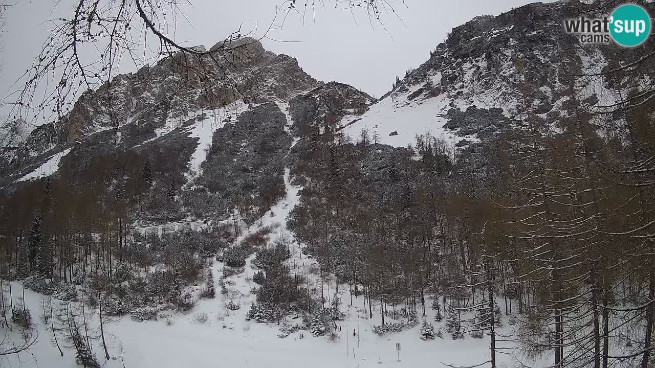 Spletna Kamera Vršič – Erjavčeva hiša – Slovenija