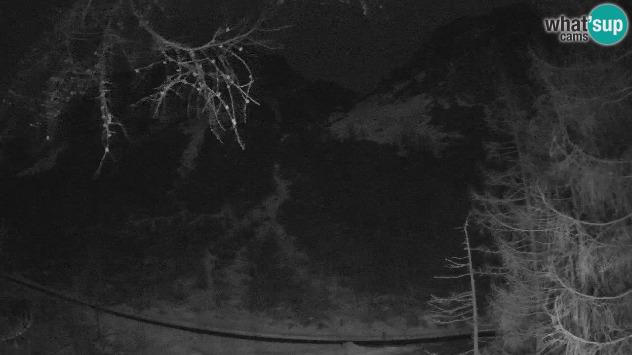 Live webcam Vršič – Baita di montagna Erjavčeva – Slovenia