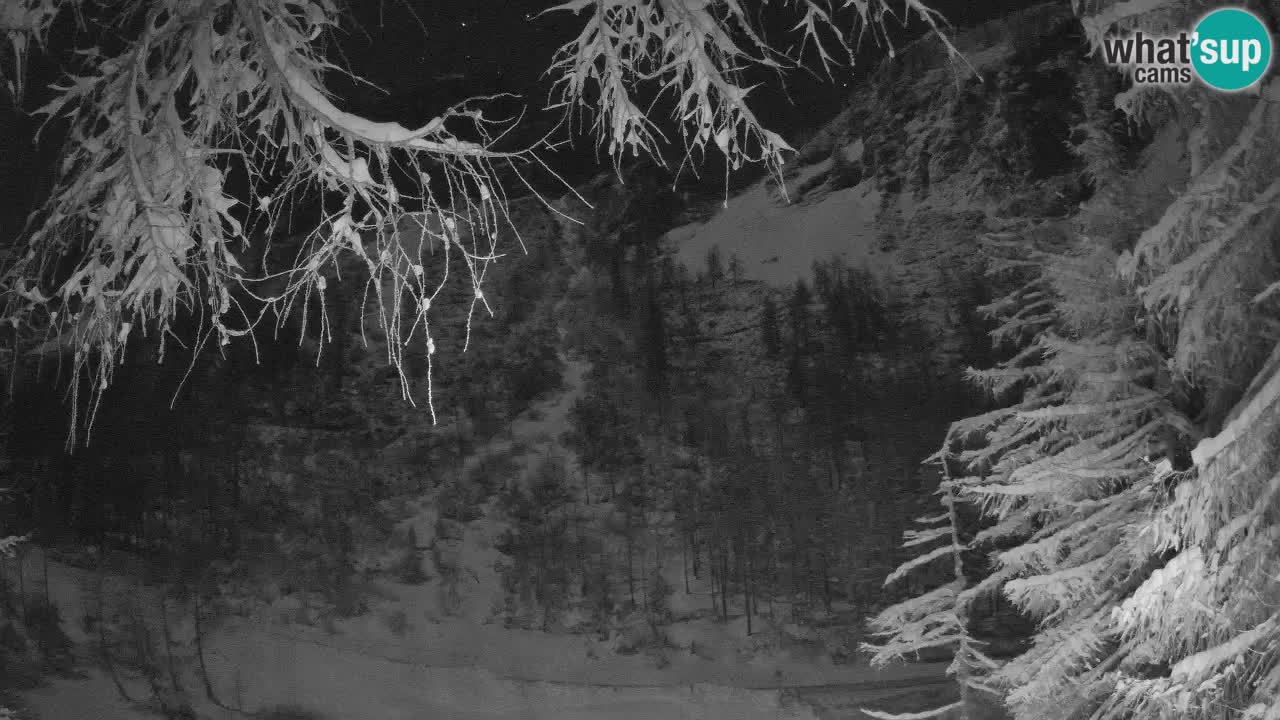 Live webcam Vršič – Baita di montagna Erjavčeva – Slovenia