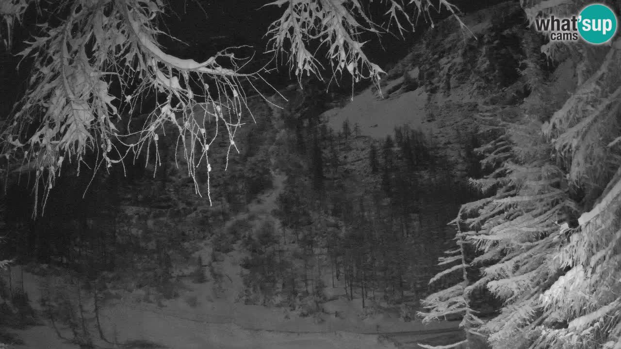 Live webcam Vršič – Baita di montagna Erjavčeva – Slovenia