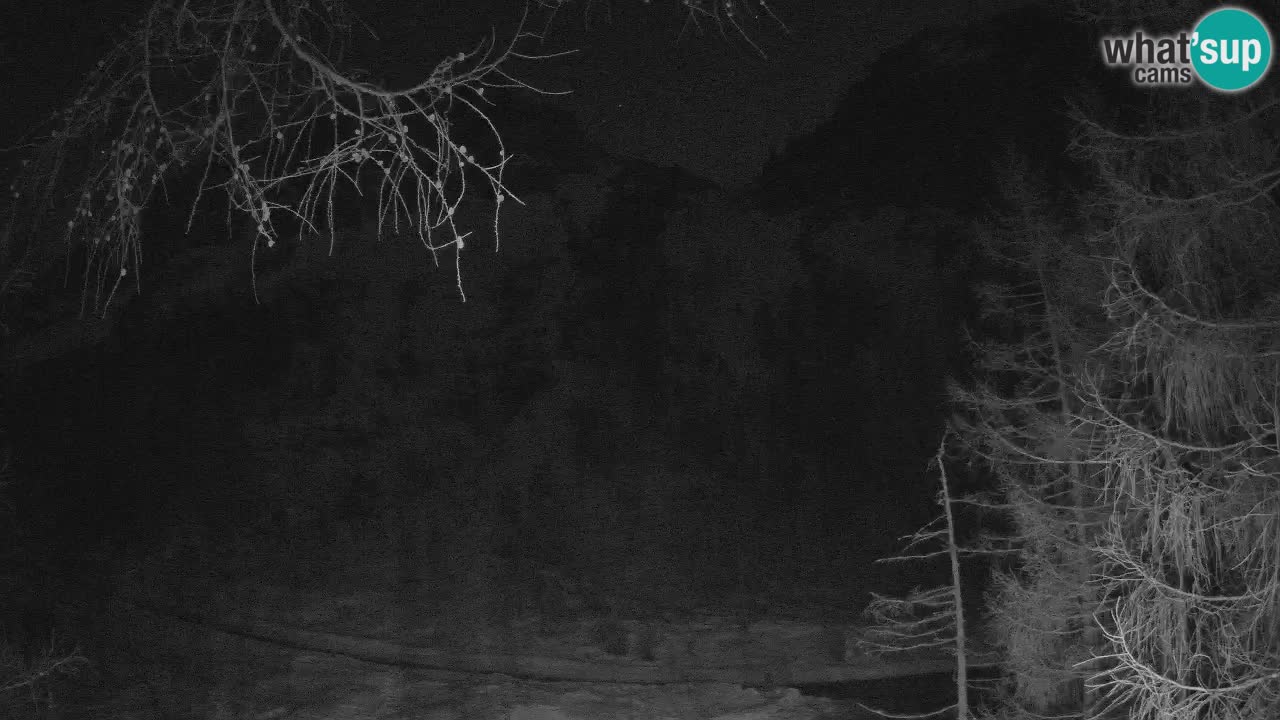 Live webcam Vršič – Baita di montagna Erjavčeva – Slovenia