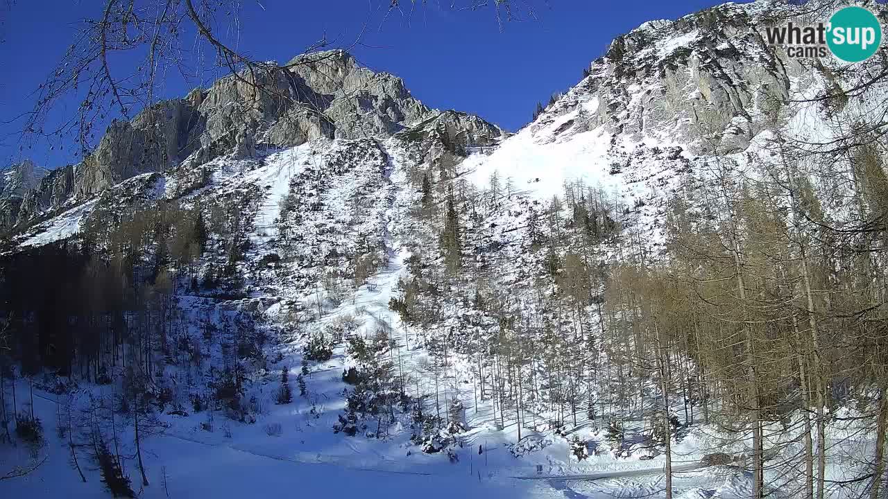 Cámara web en vivo Vršič – Casa Erjavčeva – Eslovenia