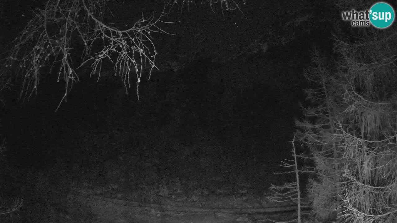 Live webcam Vršič – Baita di montagna Erjavčeva – Slovenia