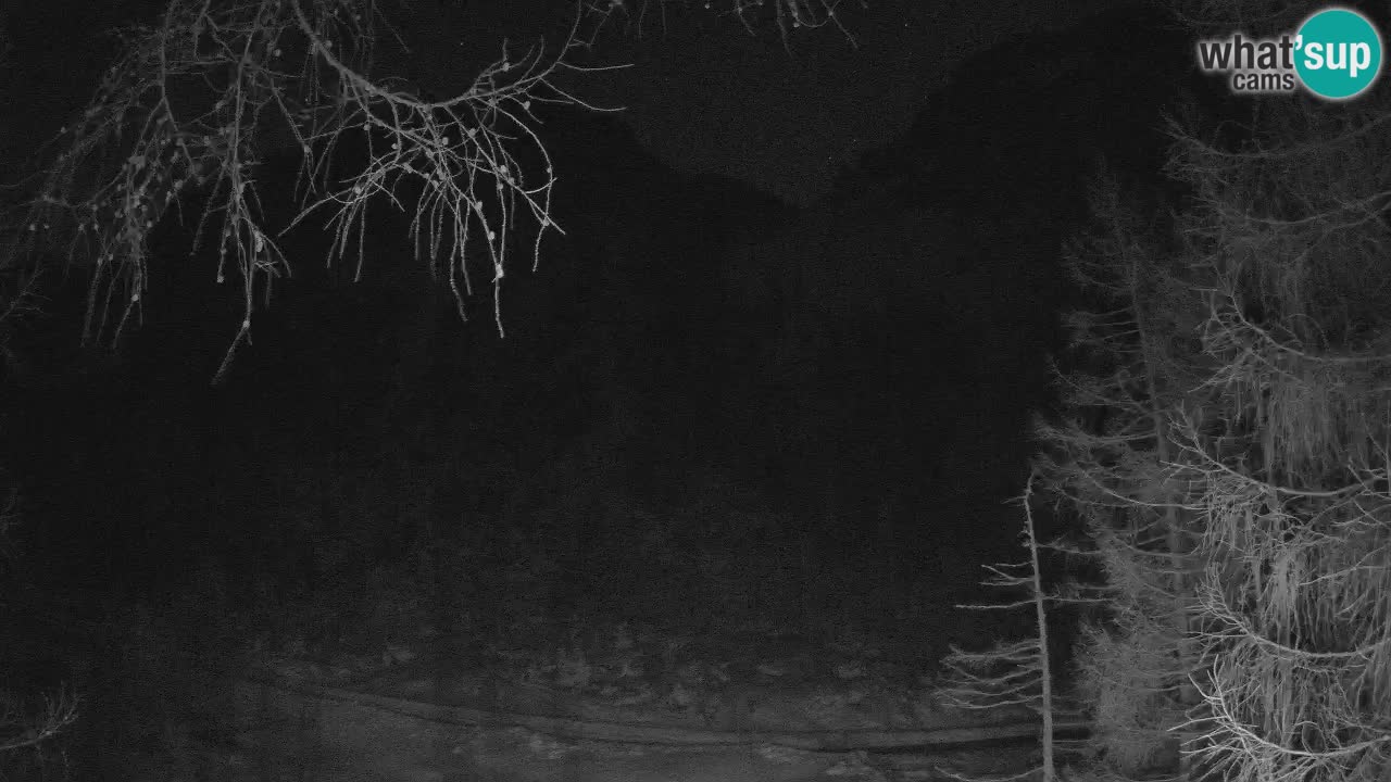 Live webcam Vršič – Baita di montagna Erjavčeva – Slovenia