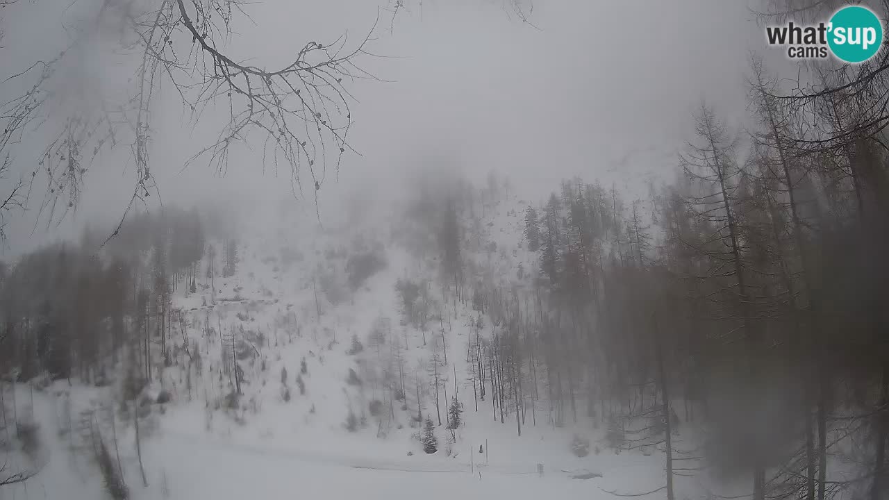 Webcam en direct Vršič – Maison Erjavčeva – Slovénie