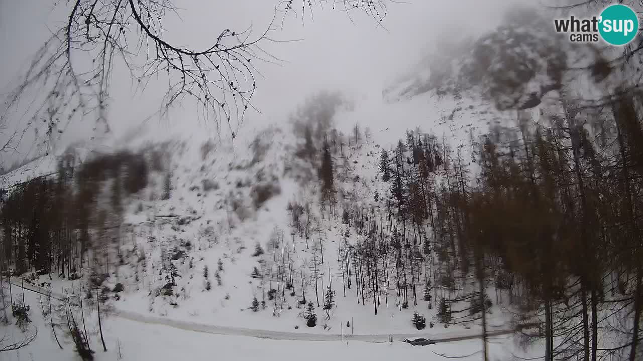 Spletna Kamera Vršič – Erjavčeva hiša – Slovenija