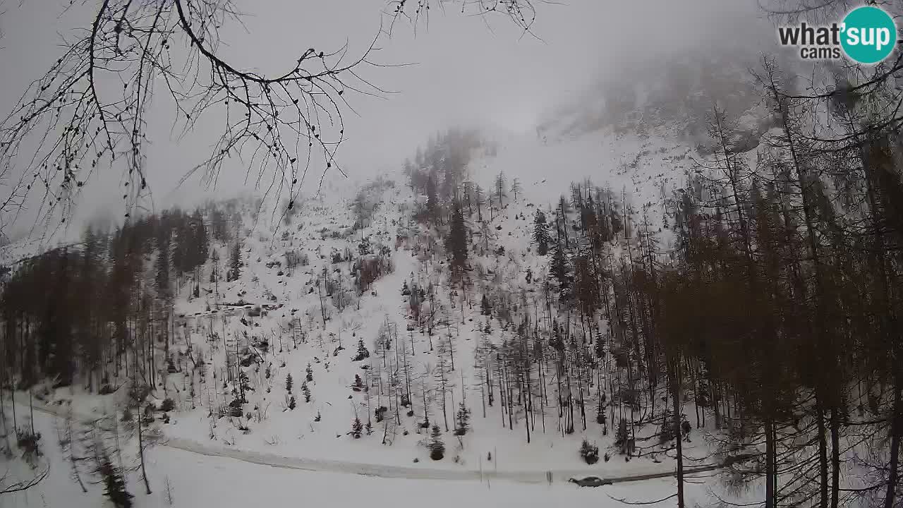 Live webcam Vršič – Baita di montagna Erjavčeva – Slovenia