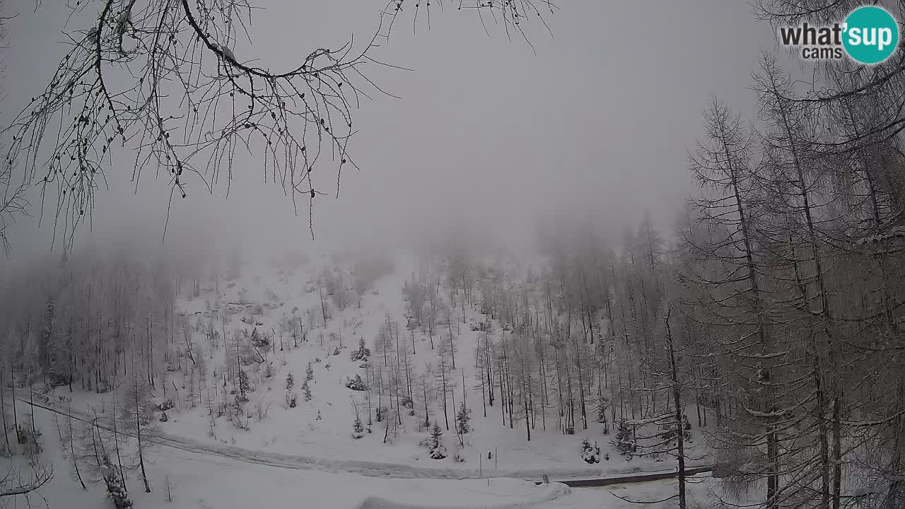 Live webcam Vršič – Baita di montagna Erjavčeva – Slovenia