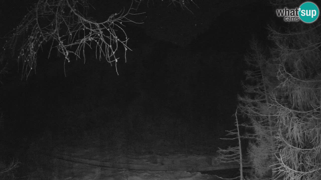 Live webcam Vršič – Baita di montagna Erjavčeva – Slovenia