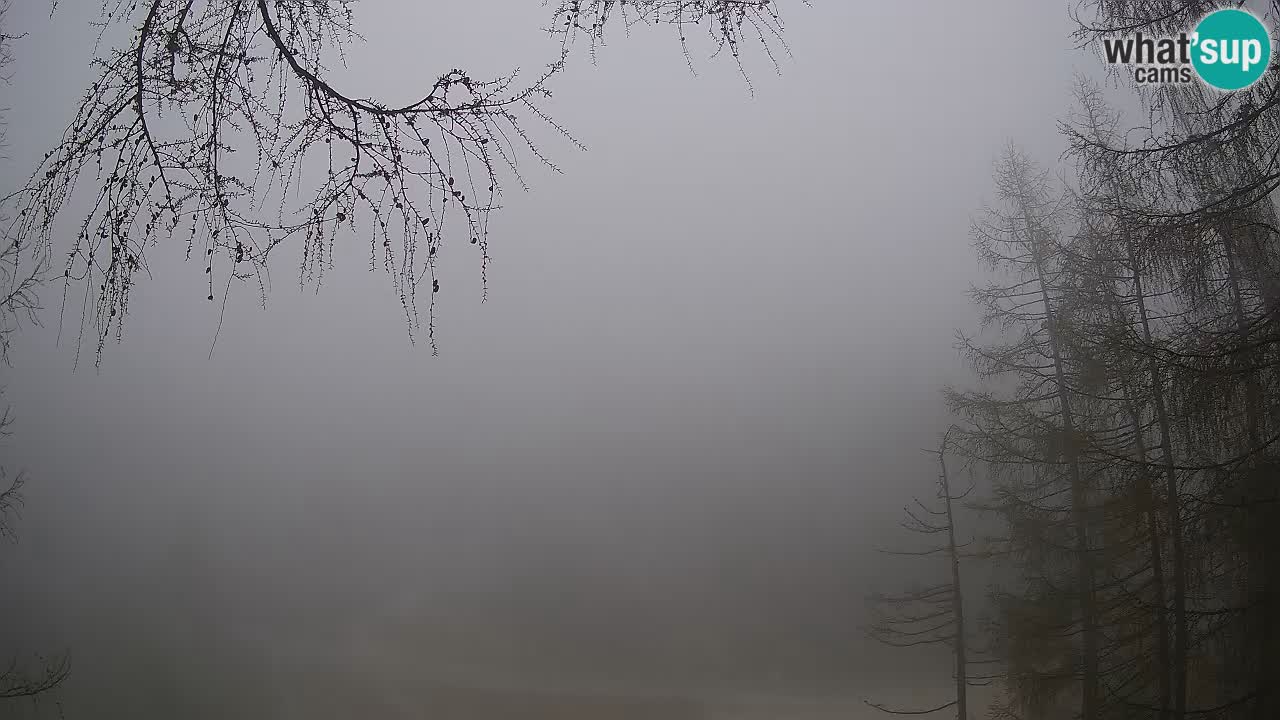Live webcam Vršič – Erjavčeva house – Slovenia