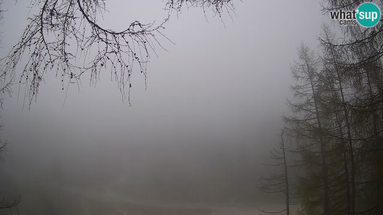 Live webcam Vršič – Baita di montagna Erjavčeva – Slovenia