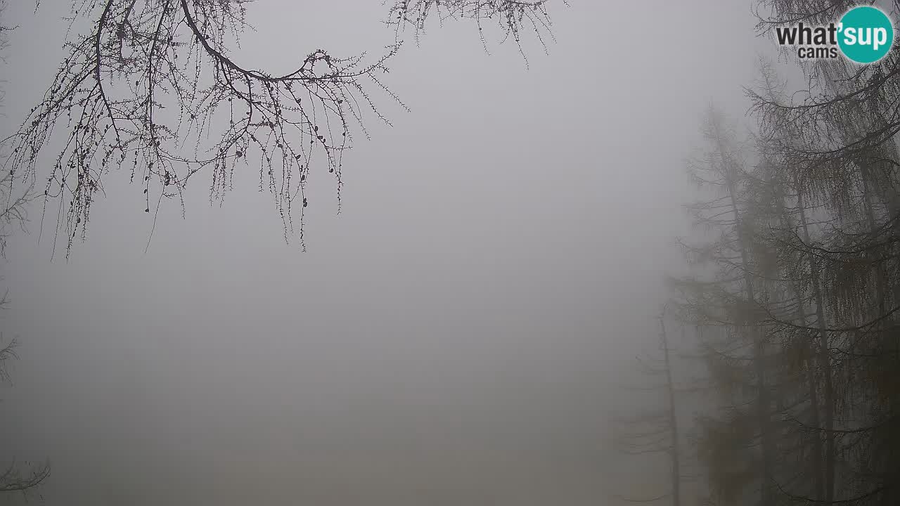 Live webcam Vršič – Baita di montagna Erjavčeva – Slovenia
