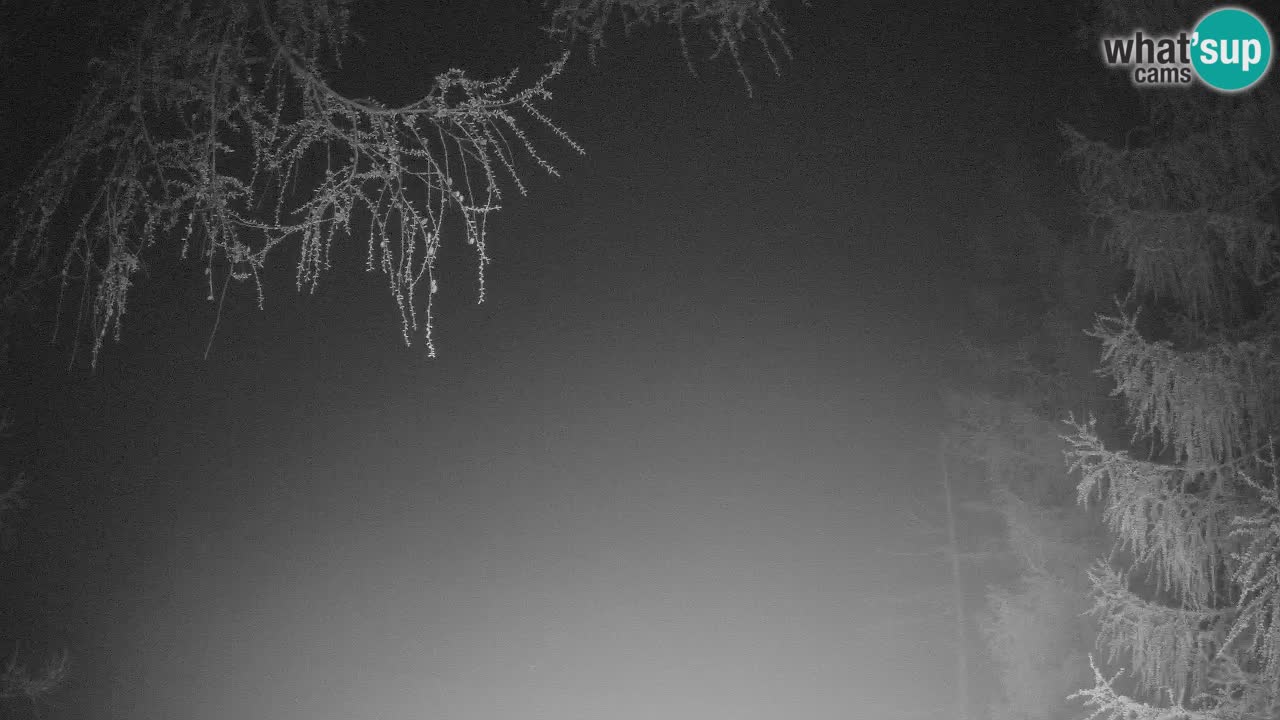 Webcam en direct Vršič – Maison Erjavčeva – Slovénie