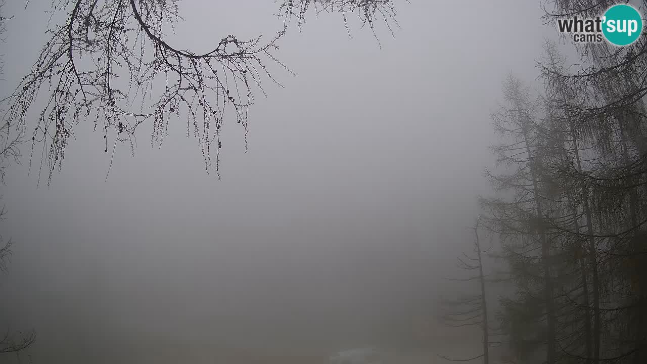 Live webcam Vršič – Erjavčeva house – Slovenia
