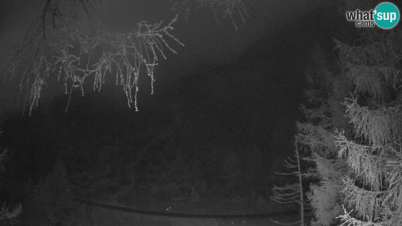 Live Webcam Vršič – Haus Erjavčeva – Slowenien