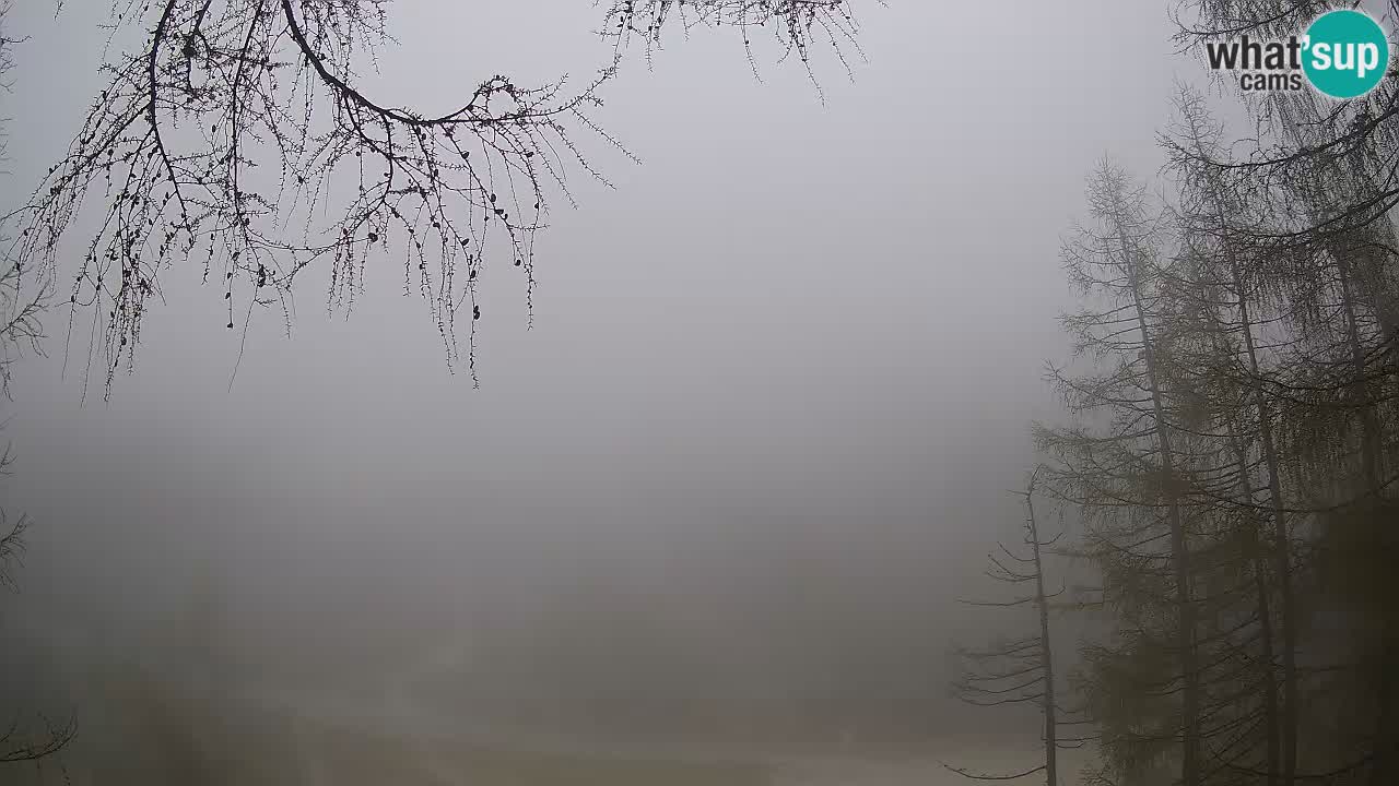 Live Webcam Vršič – Haus Erjavčeva – Slowenien