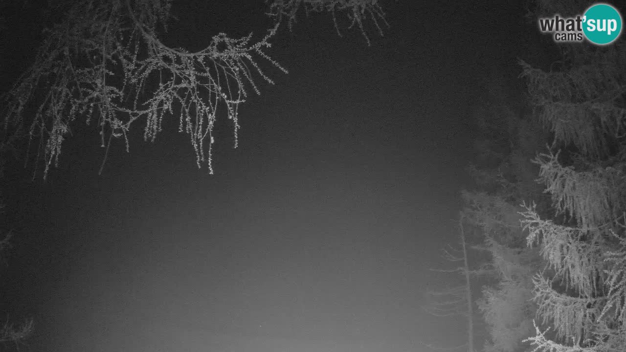 Webcam en direct Vršič – Maison Erjavčeva – Slovénie