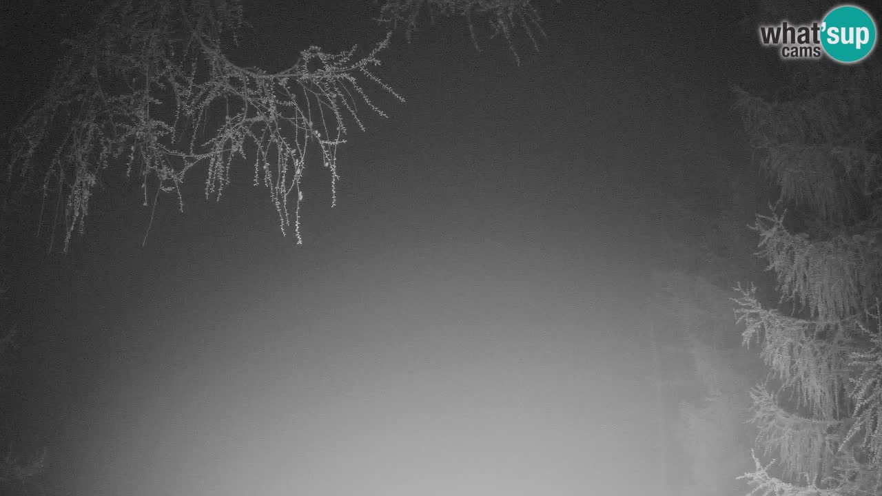 Live Webcam Vršič – Haus Erjavčeva – Slowenien