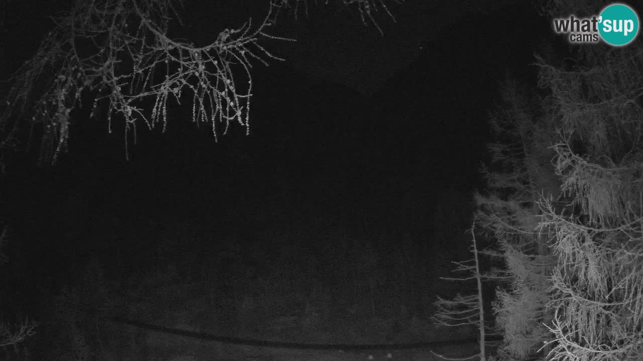 Cámara web en vivo Vršič – Casa Erjavčeva – Eslovenia