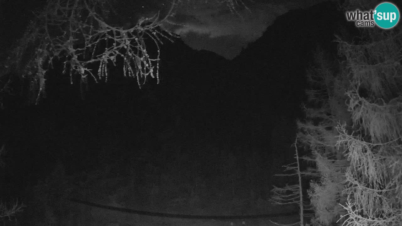 Live webcam Vršič – Erjavčeva house – Slovenia