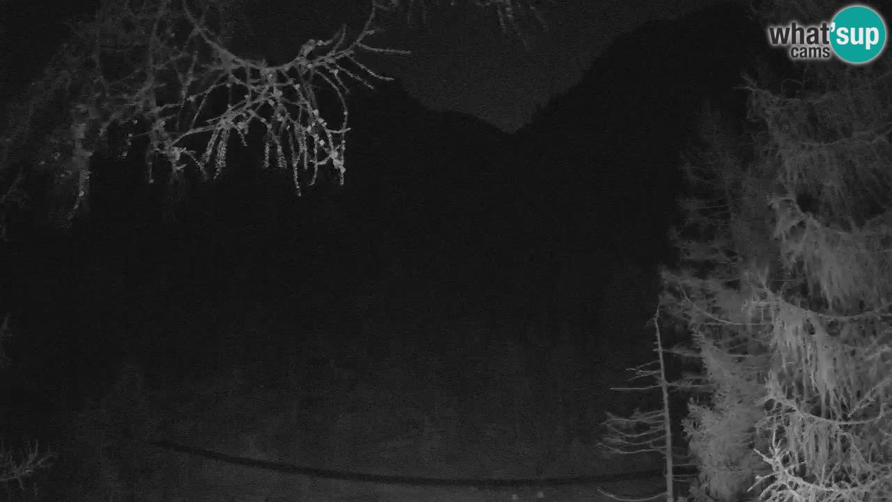 Spletna Kamera Vršič – Erjavčeva hiša – Slovenija