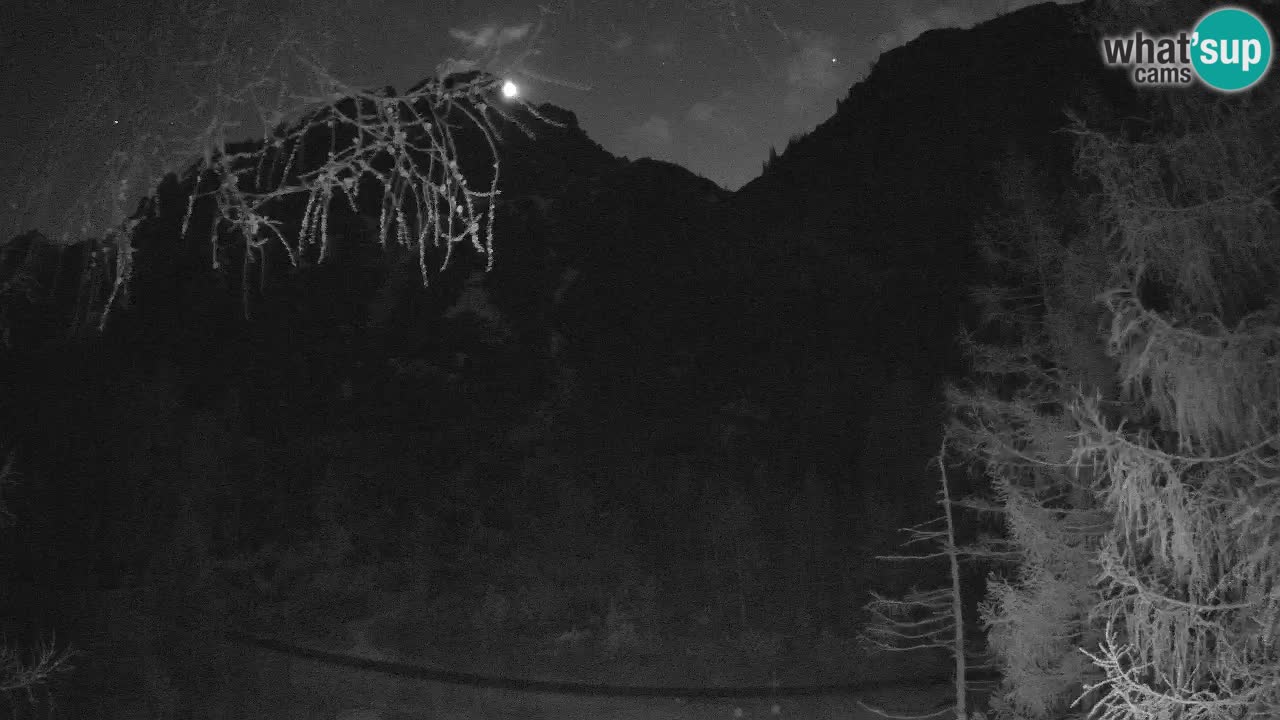 Cámara web en vivo Vršič – Casa Erjavčeva – Eslovenia