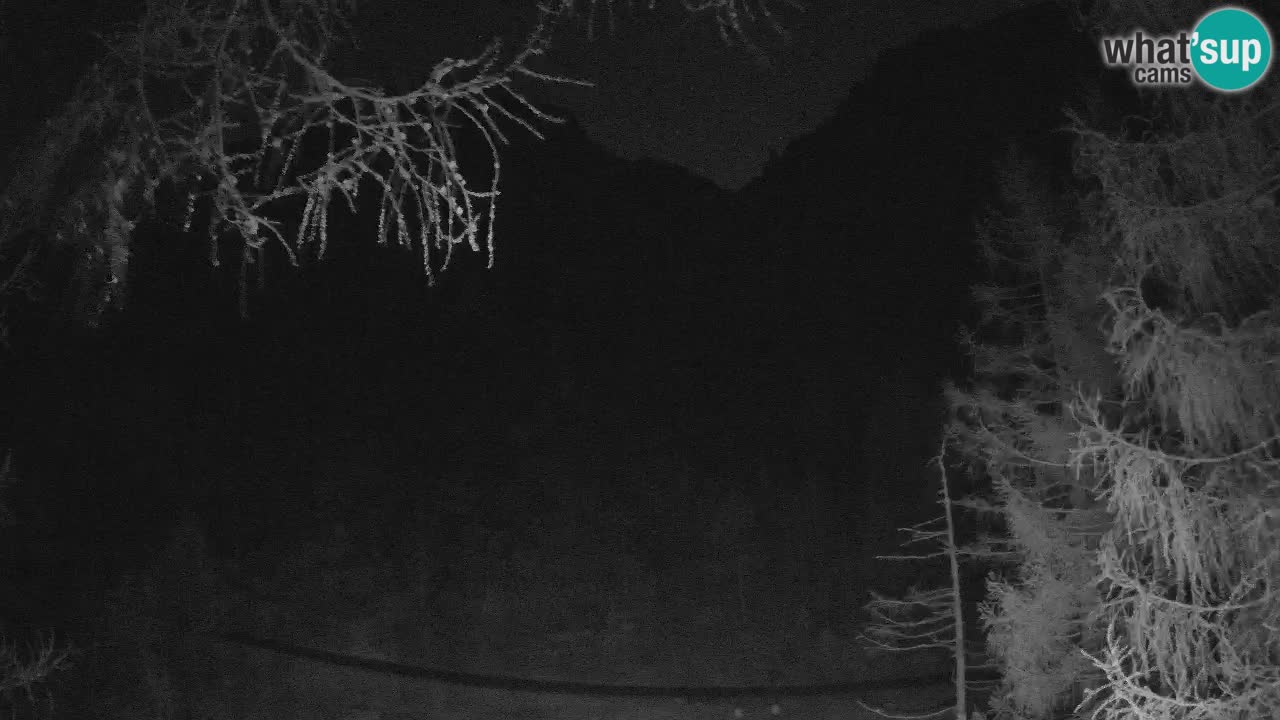Spletna Kamera Vršič – Erjavčeva hiša – Slovenija
