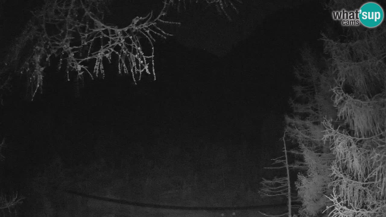 Spletna Kamera Vršič – Erjavčeva hiša – Slovenija