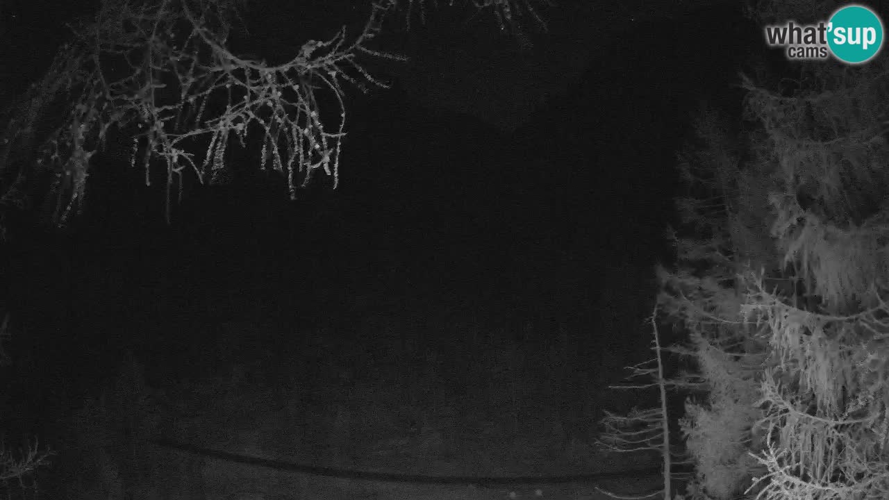 Live Webcam Vršič – Haus Erjavčeva – Slowenien