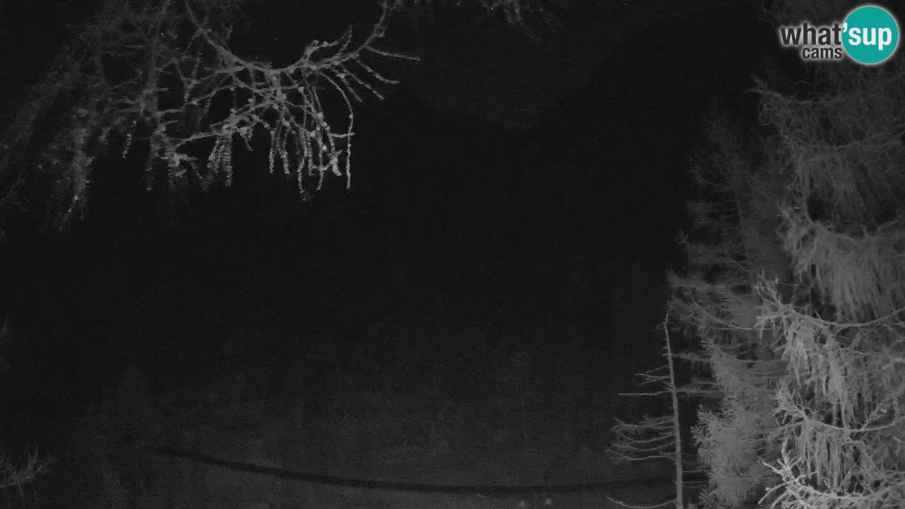 Cámara web en vivo Vršič – Casa Erjavčeva – Eslovenia