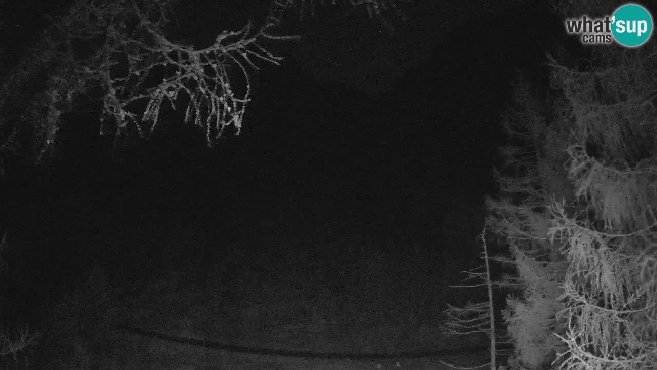 Cámara web en vivo Vršič – Casa Erjavčeva – Eslovenia