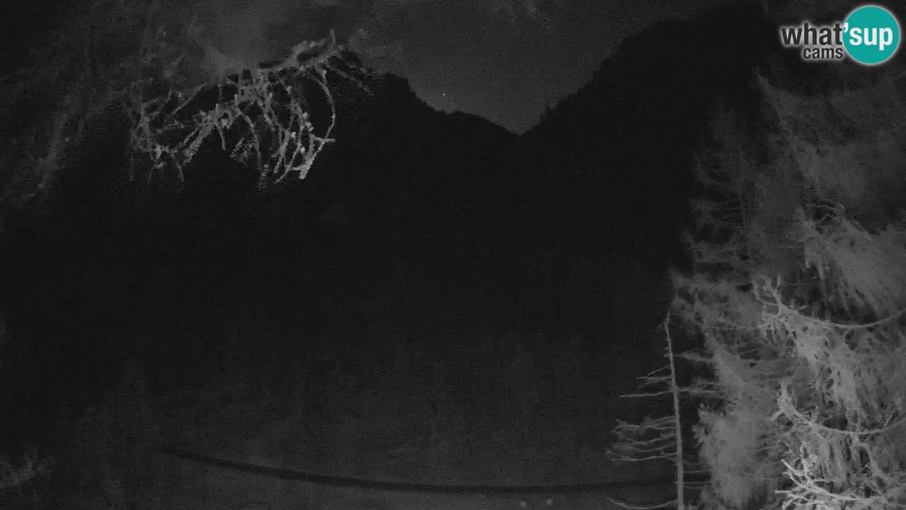 Live webcam Vršič – Baita di montagna Erjavčeva – Slovenia