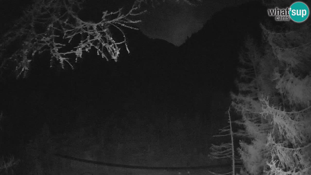 Webcam en direct Vršič – Maison Erjavčeva – Slovénie