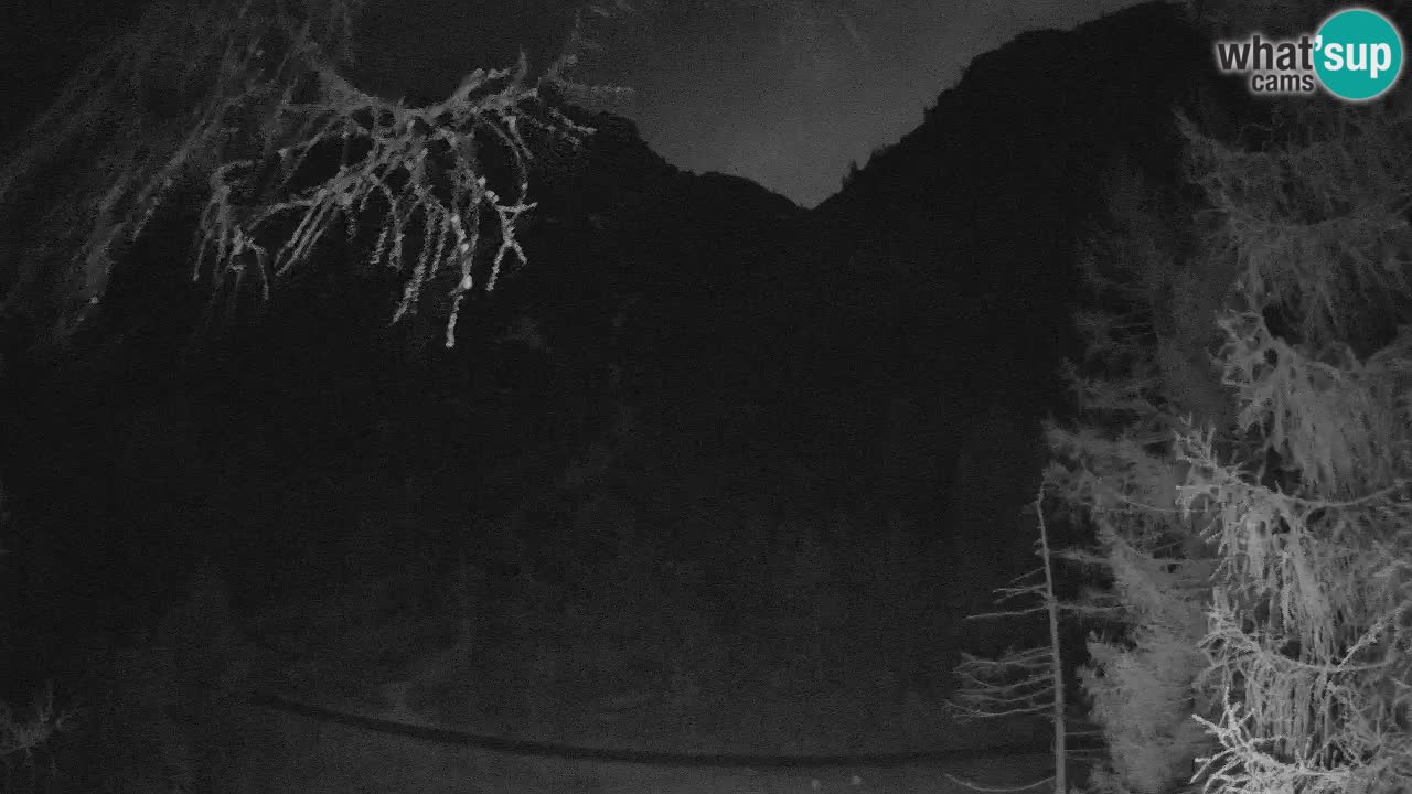 Webcam en direct Vršič – Maison Erjavčeva – Slovénie