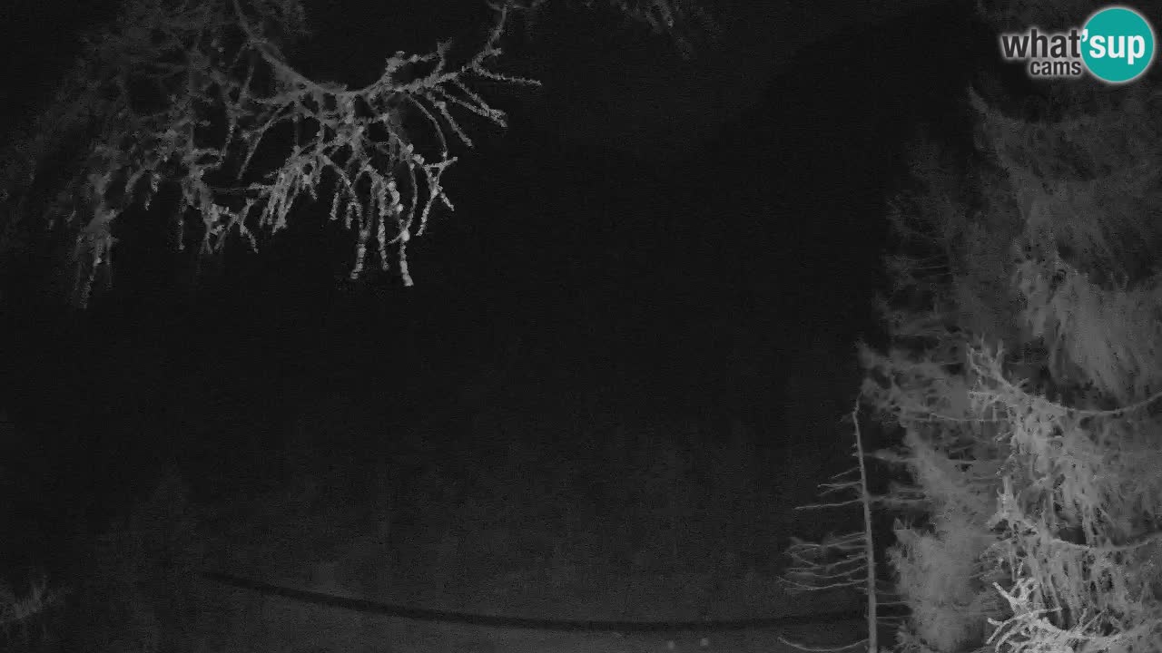 Live webcam Vršič – Erjavčeva house – Slovenia