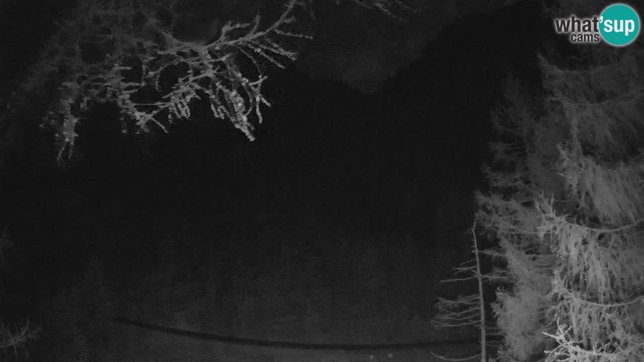 Live webcam Vršič – Baita di montagna Erjavčeva – Slovenia
