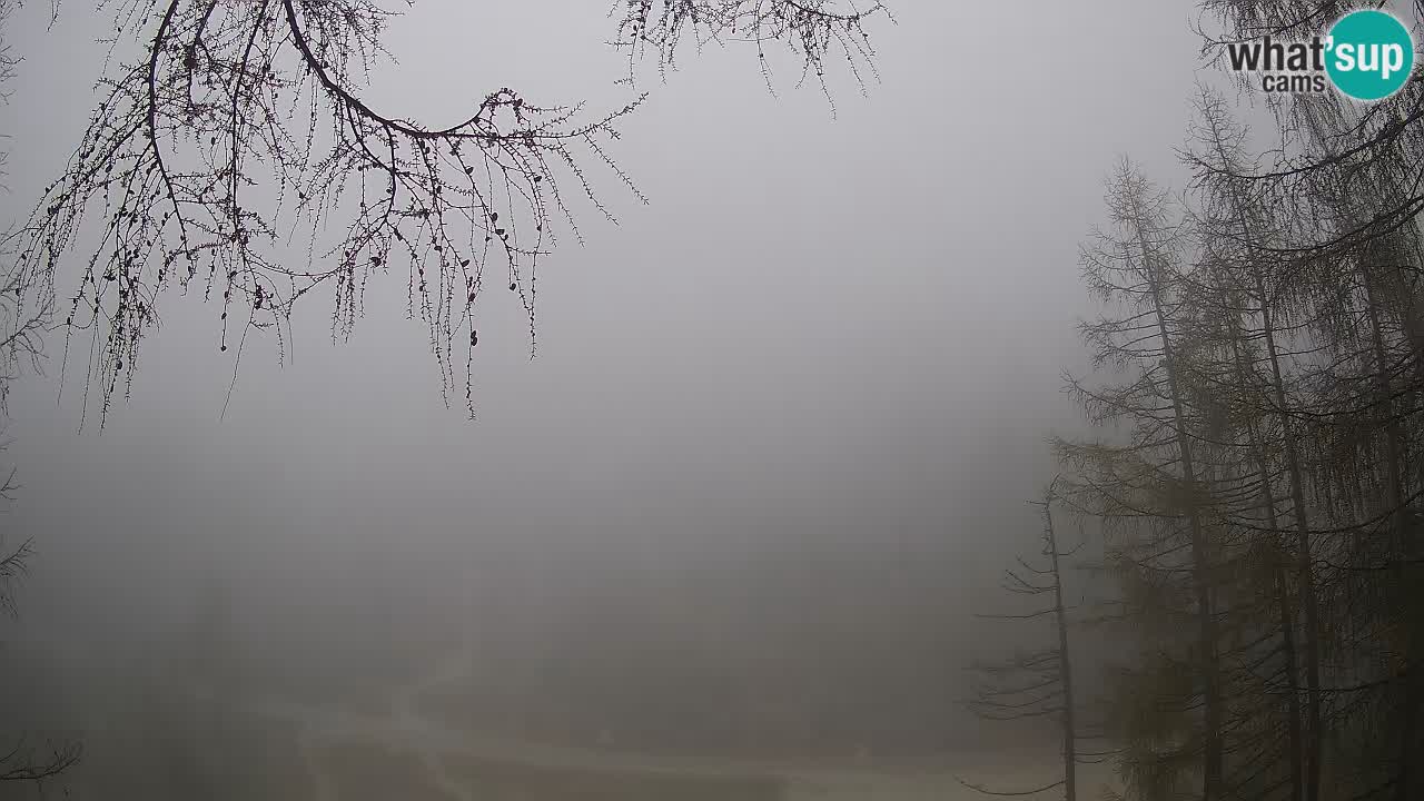 Cámara web en vivo Vršič – Casa Erjavčeva – Eslovenia