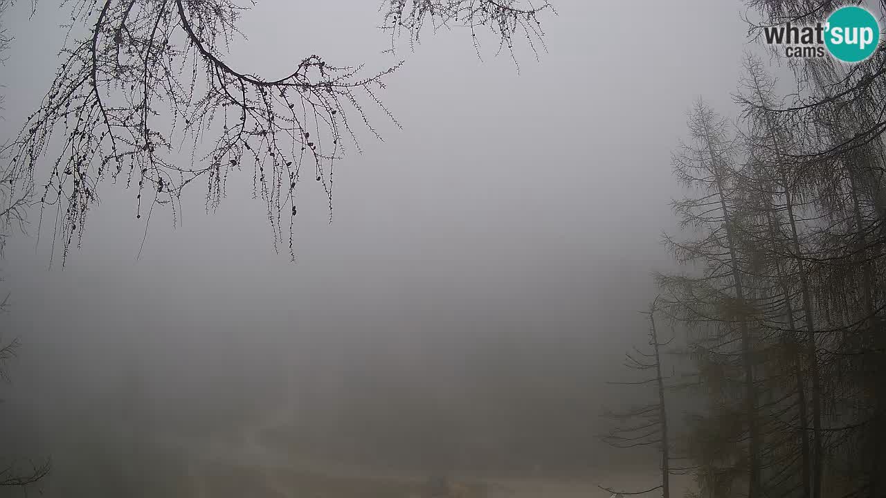 Webcam en direct Vršič – Maison Erjavčeva – Slovénie