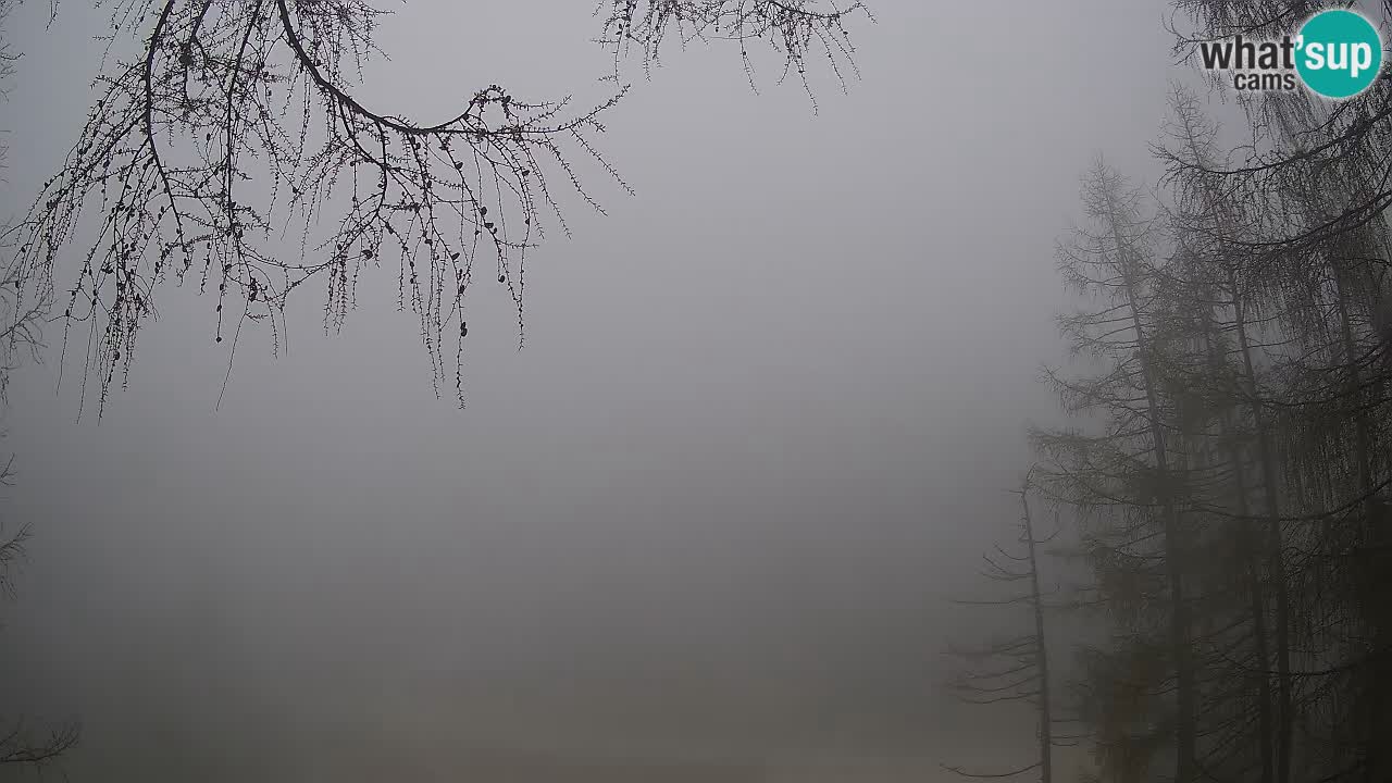 Live Webcam Vršič – Haus Erjavčeva – Slowenien