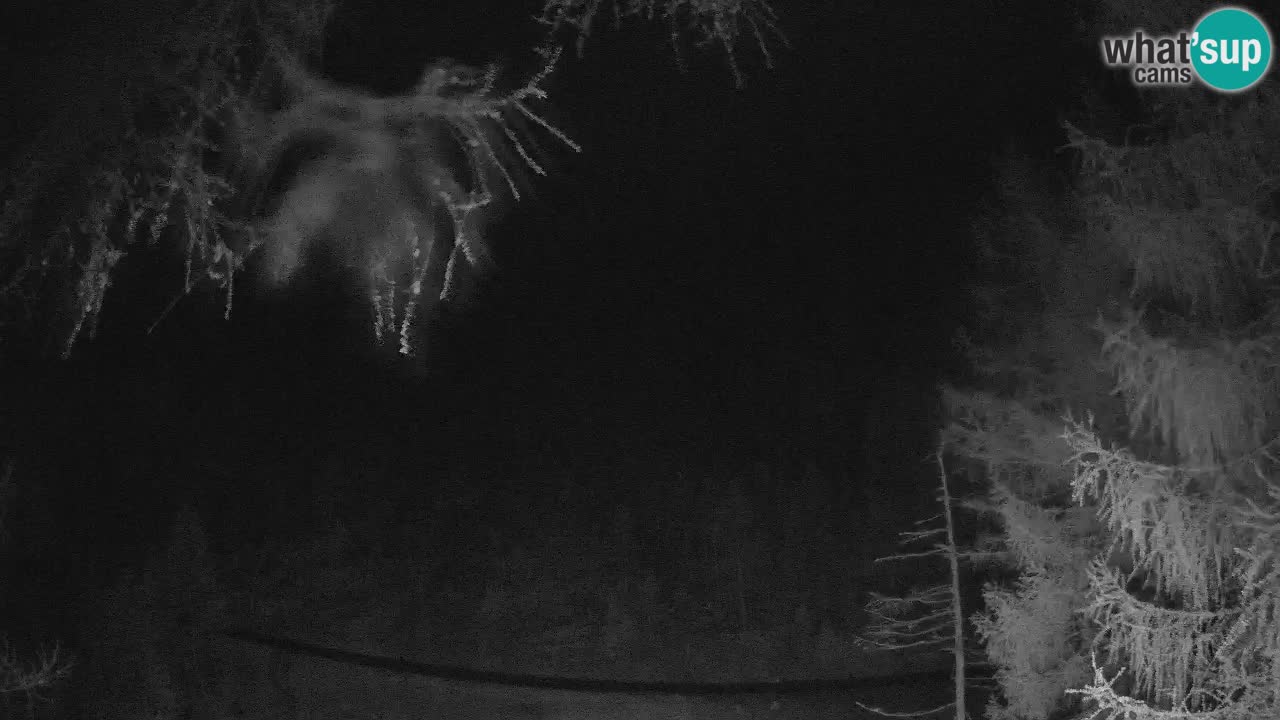 Spletna Kamera Vršič – Erjavčeva hiša – Slovenija