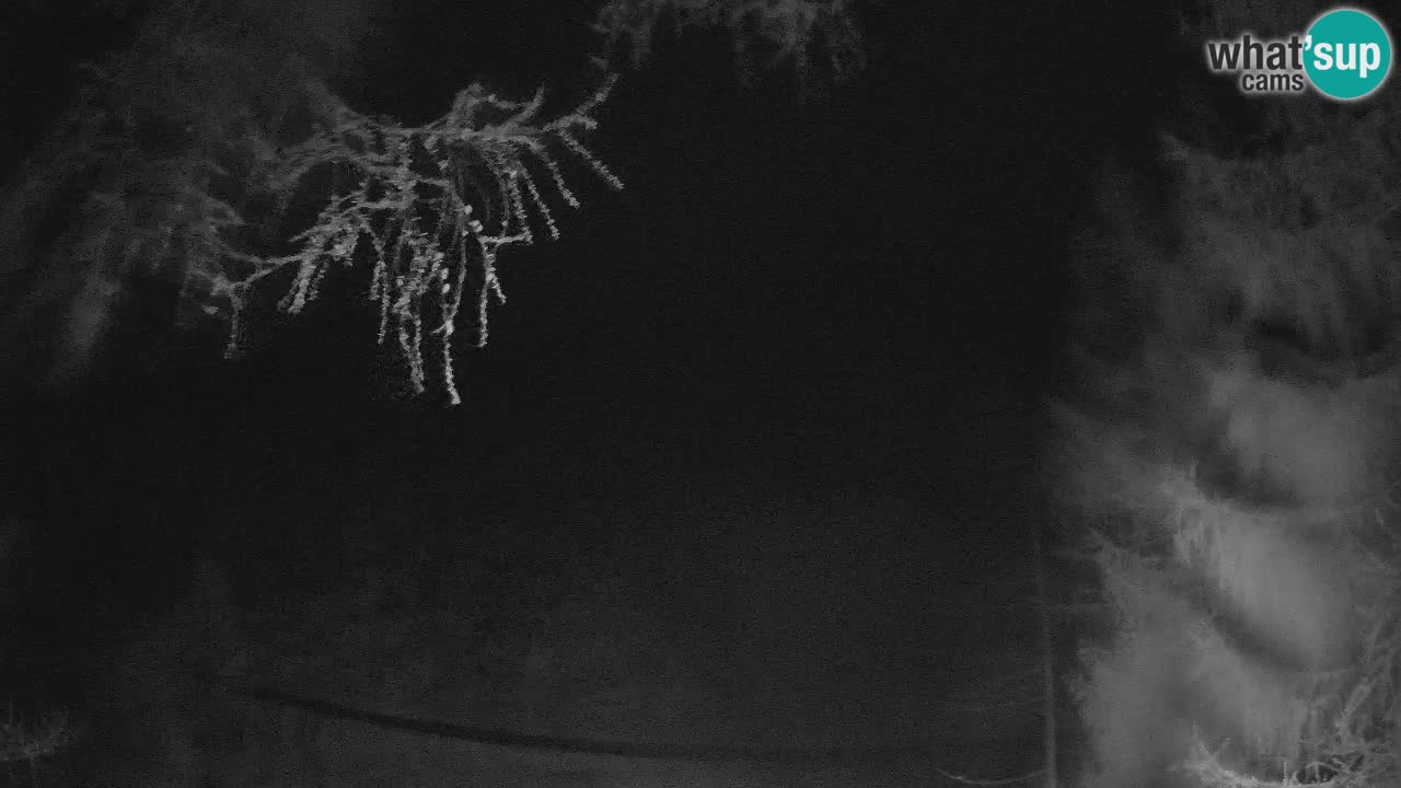 Live Webcam Vršič – Haus Erjavčeva – Slowenien