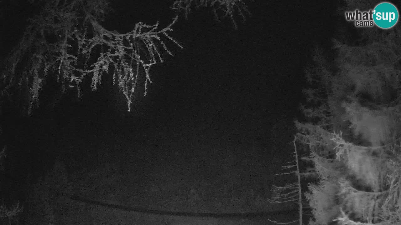 Cámara web en vivo Vršič – Casa Erjavčeva – Eslovenia