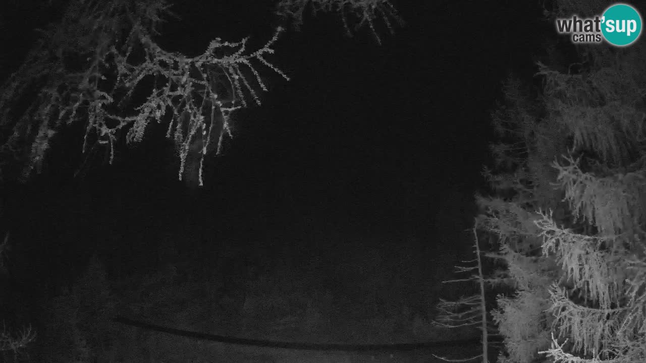Webcam en direct Vršič – Maison Erjavčeva – Slovénie