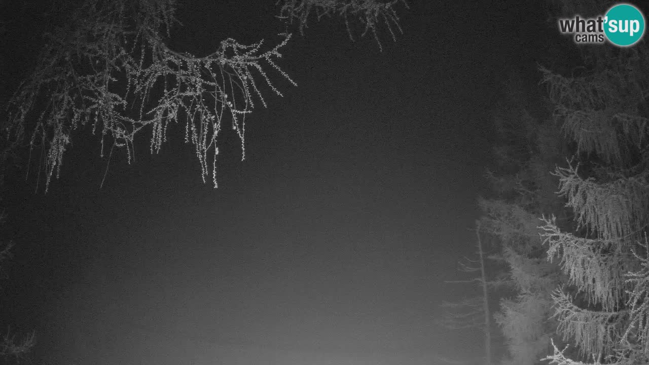 Live webcam Vršič – Baita di montagna Erjavčeva – Slovenia