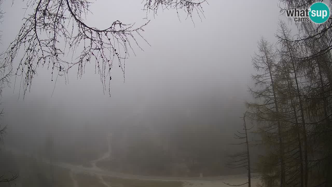 Live webcam Vršič – Baita di montagna Erjavčeva – Slovenia
