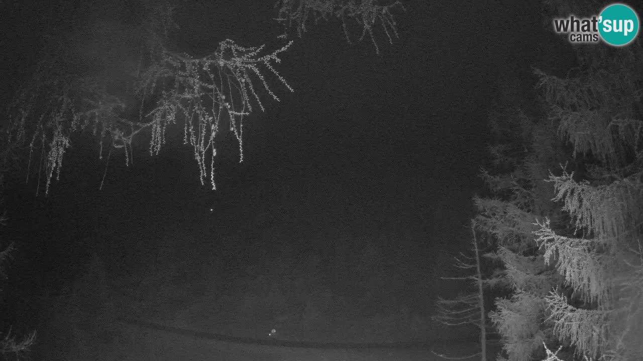 Live webcam Vršič – Erjavčeva house – Slovenia