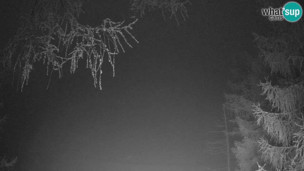 Live webcam Vršič – Erjavčeva house – Slovenia