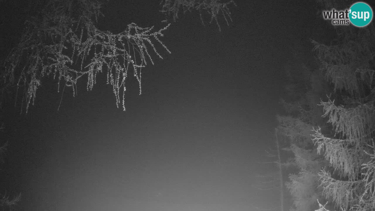 Webcam en direct Vršič – Maison Erjavčeva – Slovénie
