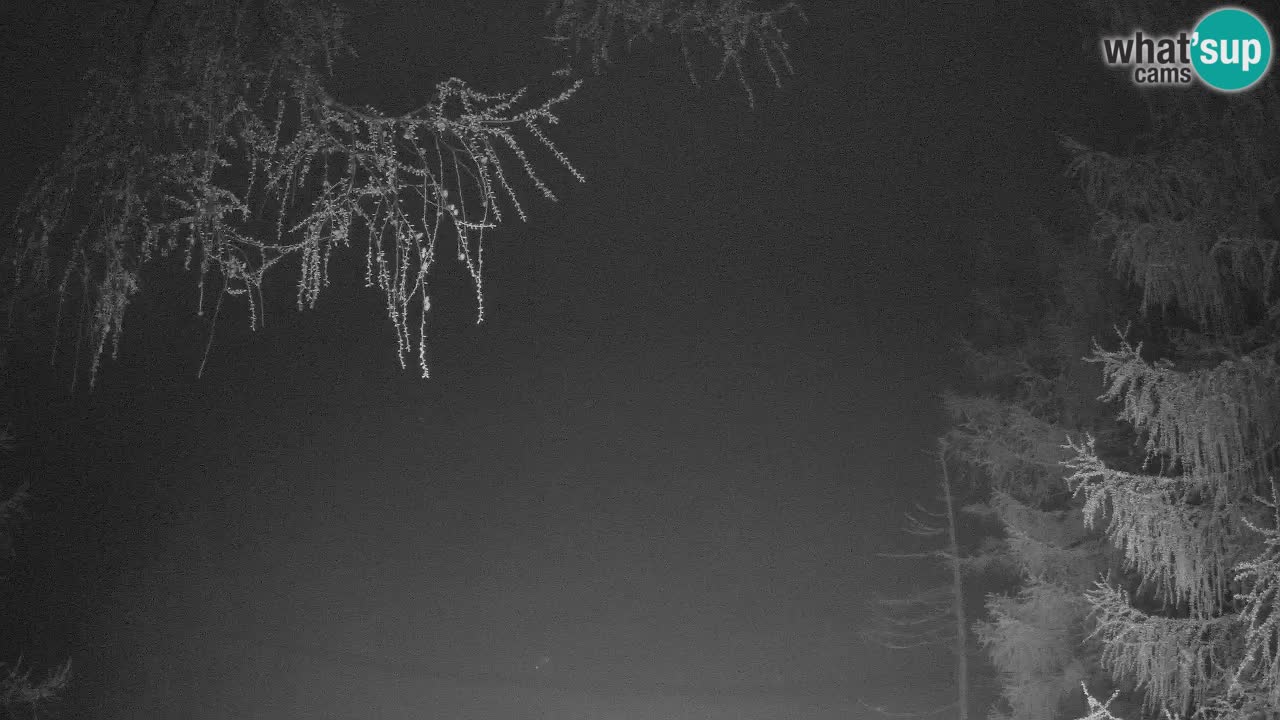 Live webcam Vršič – Baita di montagna Erjavčeva – Slovenia