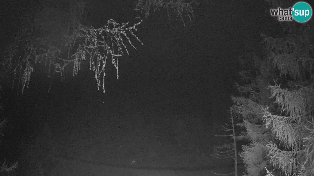 Cámara web en vivo Vršič – Casa Erjavčeva – Eslovenia